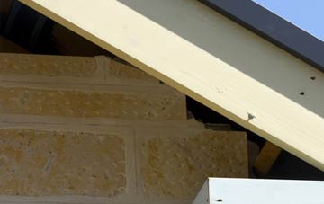 soffit repair Noblethorpe
