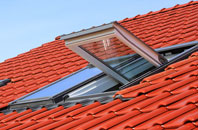 Noblethorpe roof window